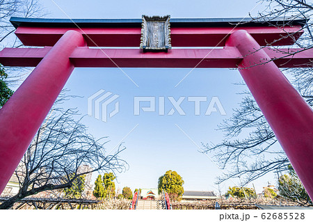 東京都 早春の亀戸天神社鳥居 東京都 早春の亀戸天神社鳥居 62685528