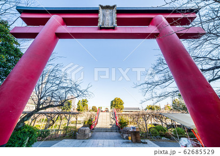 東京都 早春の亀戸天神社 東京都 早春の亀戸天神社 62685529
