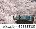 さくらビッグウェーブ 62685585