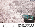 さくらビッグウェーブ２ 62685588