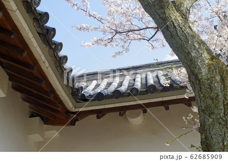 松江城の櫓と満開の桜 松江城の櫓と満開の桜 62685909