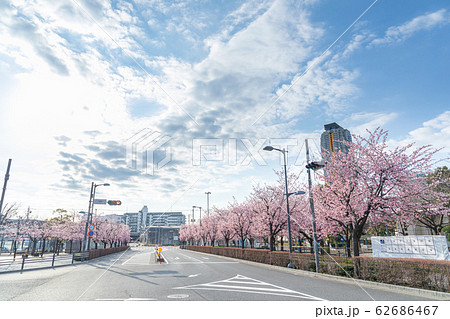 川口元郷駅　安行桜並木と青空 62686467