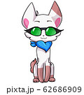 Vector cute white cat in green glasses 62686909