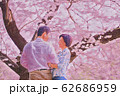 満開のそめいよしの桜 花見 夫婦旅行 油絵シリーズ 62686959