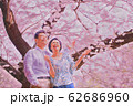 満開のそめいよしの桜 花見 夫婦旅行 油絵シリーズ 62686960
