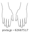 手の甲 62687517