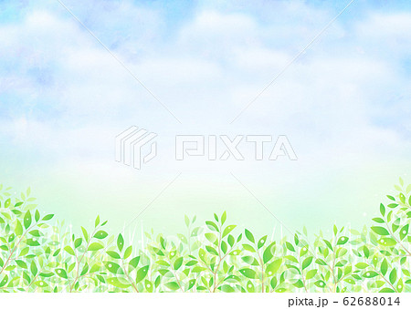 背景素材_木の葉 若葉 青葉 新緑 62688014