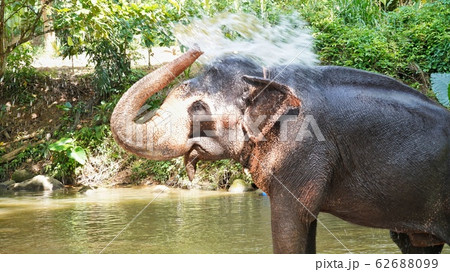 スリランカ スリランカ 62688099
