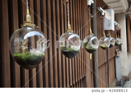 渋温泉 渋温泉 62688813