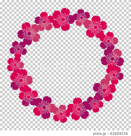 桜の花 背景素材 フレーム コースター イラスト ベクターのイラスト素材 62689256 Pixta