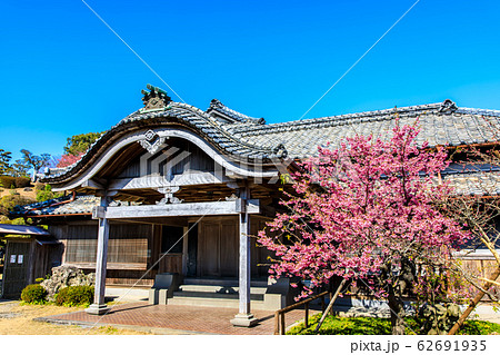 神代小路鍋島邸と緋寒桜 【長崎県雲仙市】 神代小路鍋島邸と緋寒桜 【長崎県雲仙市】 62691935