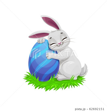 Easter funny gray bunny with egg 62692151