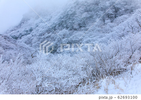 雲仙 妙見岳から登山道冬景色 【長崎県雲仙市】 雲仙 妙見岳から登山道冬景色 【長崎県雲仙市】 62693100