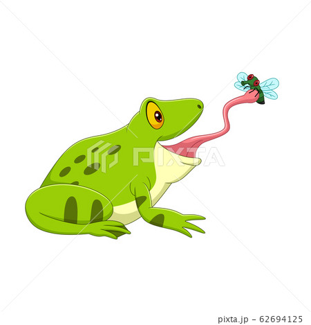 frog catching insect with tongue