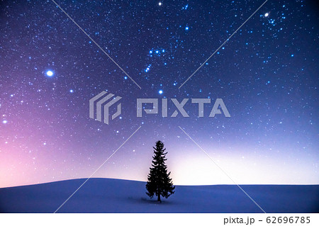 《北海道》星空とクリスマスツリーの木・冬の美瑛 《北海道》星空とクリスマスツリーの木・冬の美瑛 62696785
