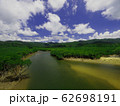 西表島の雄大な河川 西表島の雄大な河川 62698191