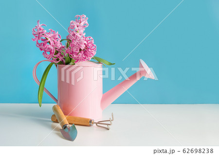 Decorative watering can with pink hyacinths. Decorative watering can with pink hyacinths. 62698238