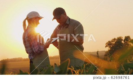 Farmers man and woman communicate in the field at sunset. Use a tablet Farmers man and woman communicate in the field at sunset. Use a tablet 62698761