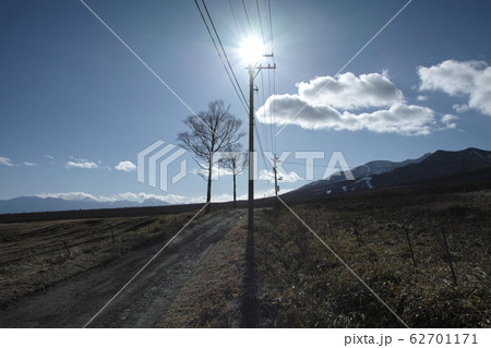 電信柱と林道 62701171
