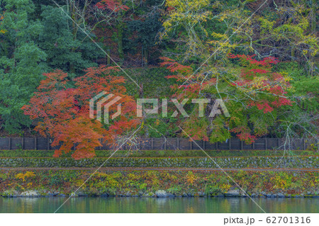 京都　秋の嵐山　　 62701316
