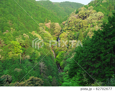 春の布引の滝 春の布引の滝 62702677