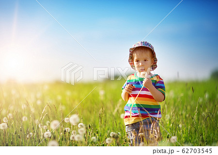 Baby boy standing in grass on the fieald with dandelions Baby boy standing in grass on the fieald with dandelions 62703545