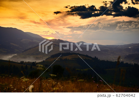 wildflowers, meadow and golden sunset in 62704042
