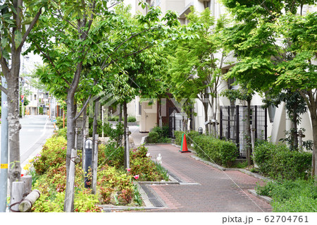 街風景　西宮北口　門戸厄神・甲東園 62704761