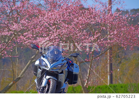 桜とバイク 62705223