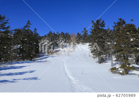 雪山登山道 イメージ 乗鞍岳 雪山登山道 イメージ 乗鞍岳 62705989