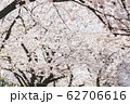 季節 春 美しさ 62706616