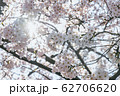 季節 春 美しさ 62706620