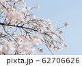 季節 春 美しさ 62706626