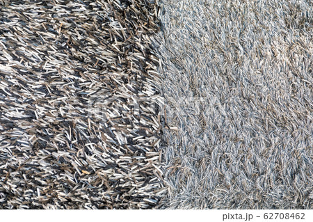 Shaggy Carpets 62708462