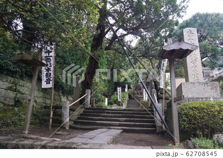 鎌倉市浄明寺 鎌倉市浄明寺 62708545