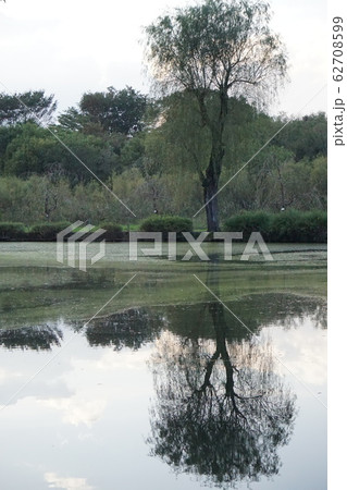 上尾丸山公園 上尾丸山公園 62708599