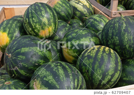 Green Watermelons Green Watermelons 62709407
