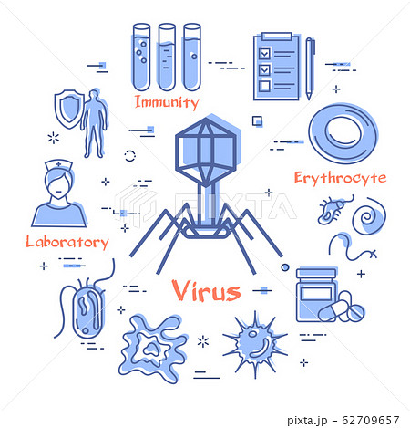 Vector concept of bacteria and viruses - bacteriophage icon 62709657