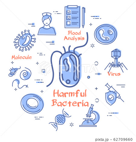 Vector line concept of viruses - harmful bacteria icon Vector line concept of viruses - harmful bacteria icon 62709660