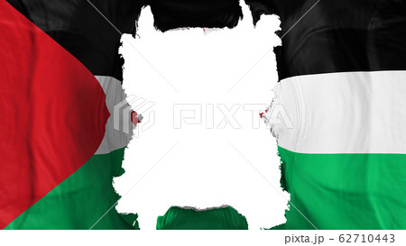 Ripped Sahrawi Arab Democratic Republic flying 62710443