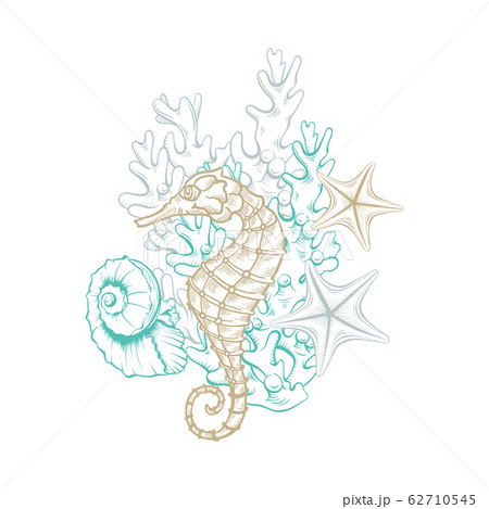 Marine art line design, sea life decoration design Marine art line design, sea life decoration design 62710545