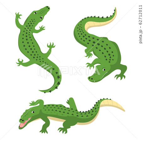 Green alligators set wild animal vector isolated 62712011