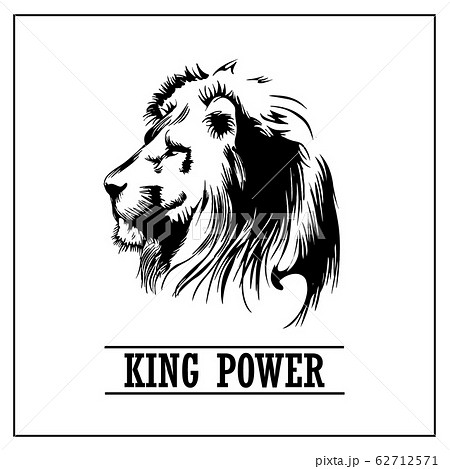 Lion Head Stock Illustration