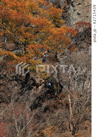 [定額] 秋の妙義山、表縦走の鷹戻しの風景 62715439