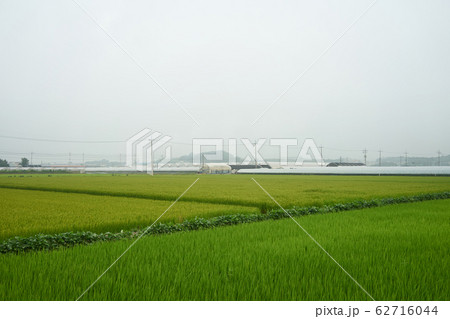 ビニールハウス 農村 農業 62716044