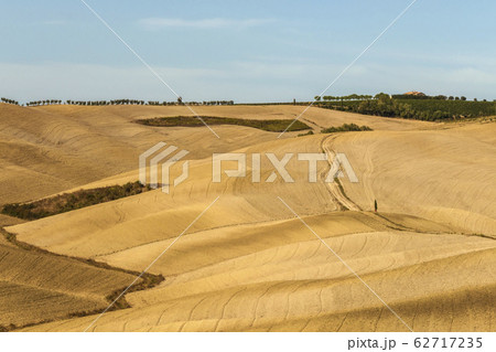 Typical landscapes for Siena Province in Tuscany Typical landscapes for Siena Province in Tuscany 62717235