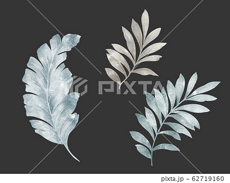 透明水彩 水彩画 木の葉 62719160