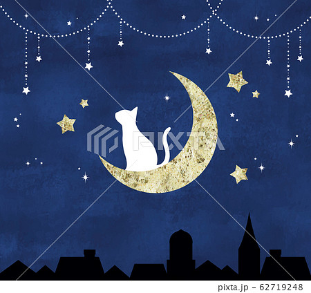 三日月の上の猫と星空のイラスト素材