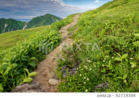 高山植物咲く飯豊連峰の登山道と大日岳 62719308