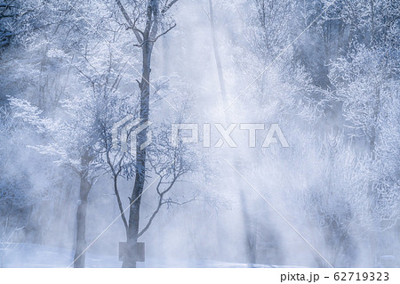 《北海道》冬の北海道・霧氷と気嵐 《北海道》冬の北海道・霧氷と気嵐 62719323